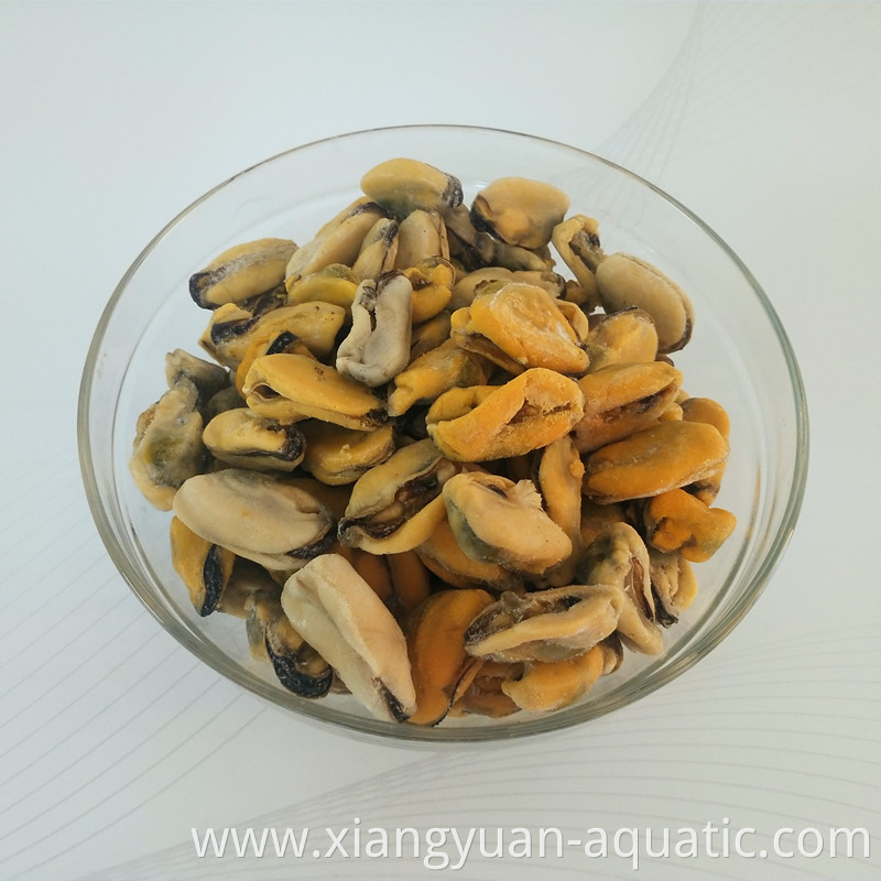 new offer frozen boiled mussel meat with factory price